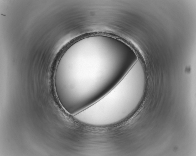 X0000094380975200711020821