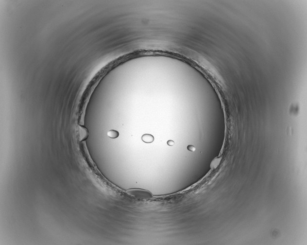 X0000094380976200711020821