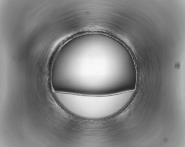 X0000094380979200711020821