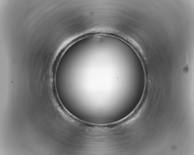 X0000094380981200711020821