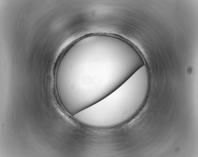 X0000094380982200711020821