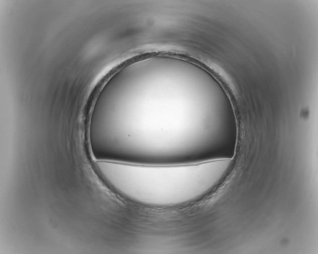X0000094380983200711020821