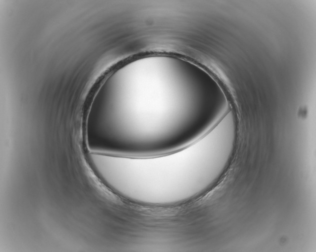 X0000094380984200711020821