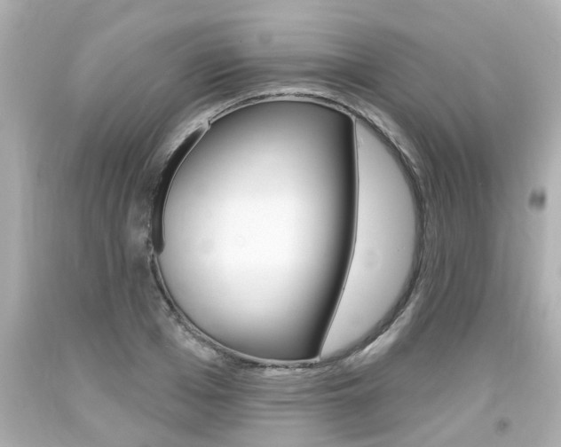 X0000094380985200711020821