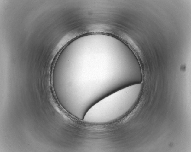 X0000094380986200711020821