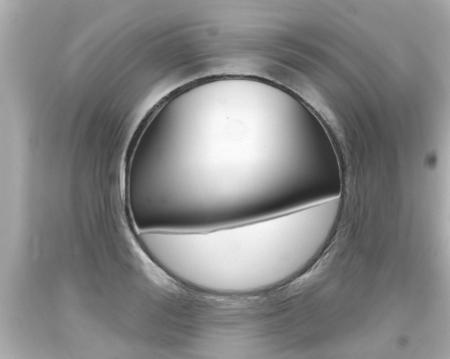 X0000094380988200711020821