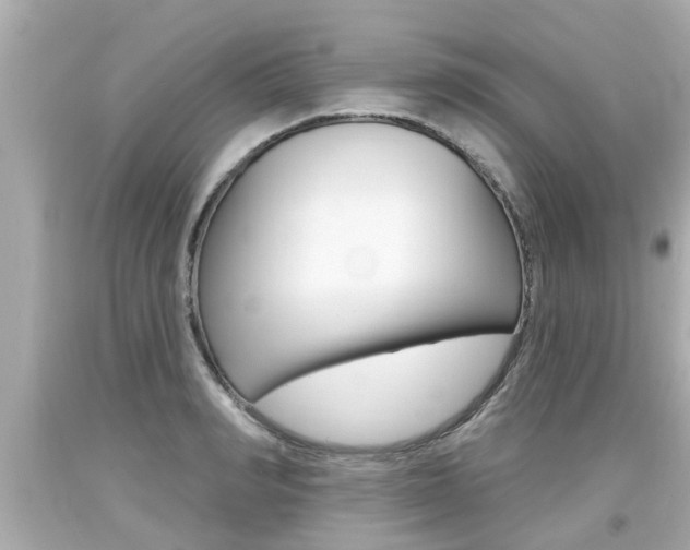 X0000094380990200711020820