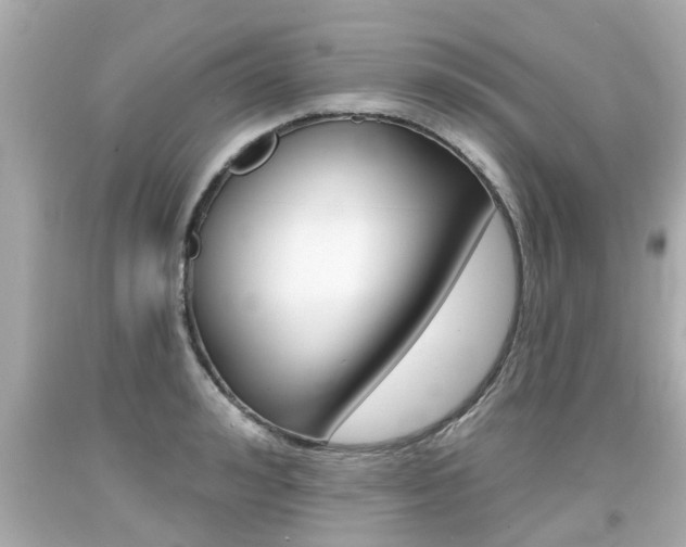 X0000094380992200711020820