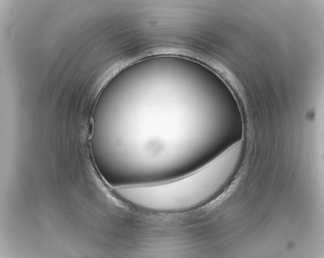 X0000094380993200711020820