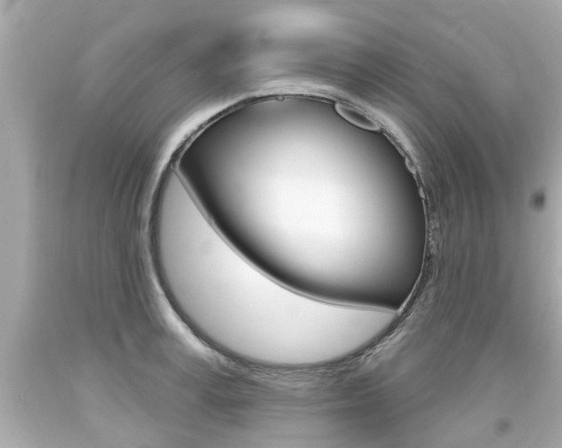 X0000094380995200711020820