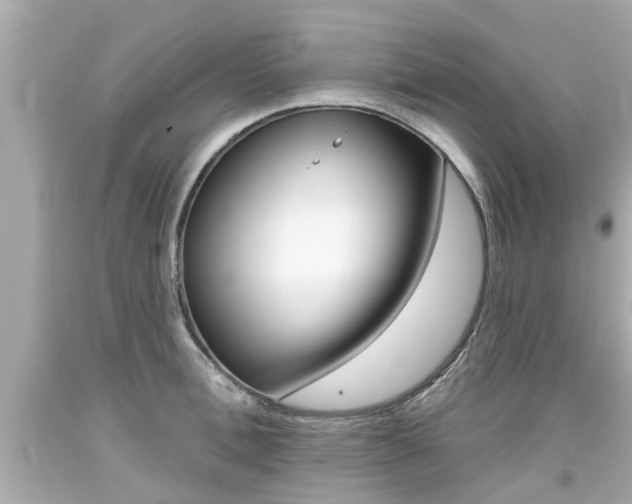 X0000094380996200711020820