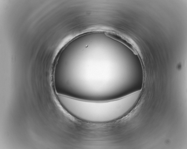 X0000094380997200711020820