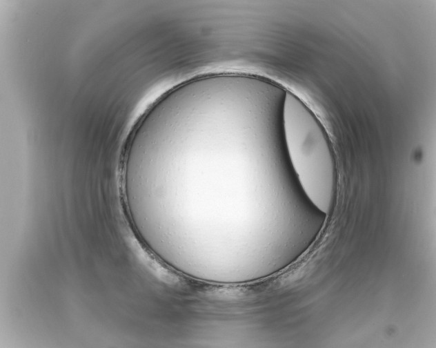 X0000094380998200711020820