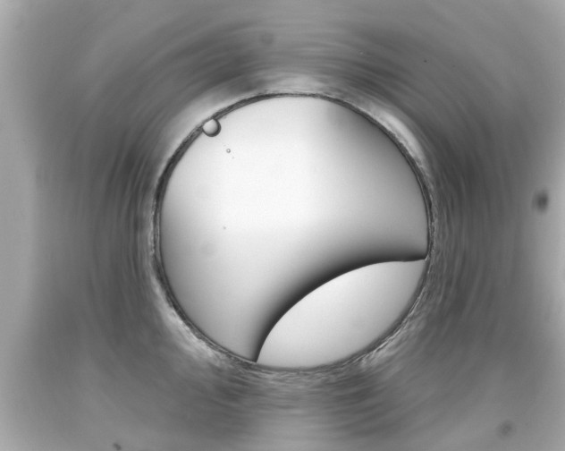 X0000094381000200711020820