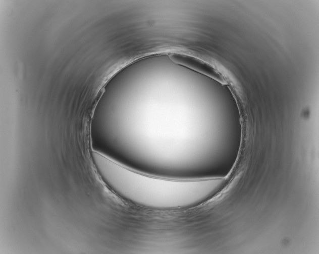 X0000094381001200711020820