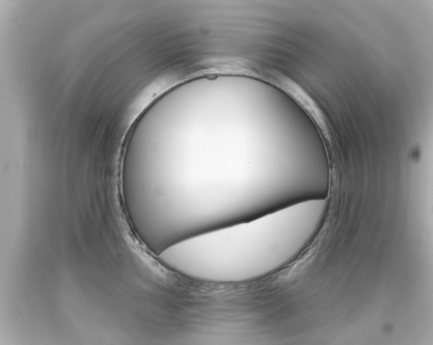 X0000094381002200711020820