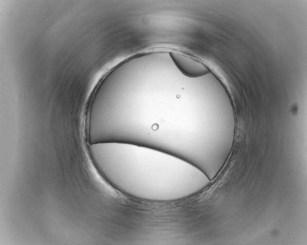 X0000094381003200711020820
