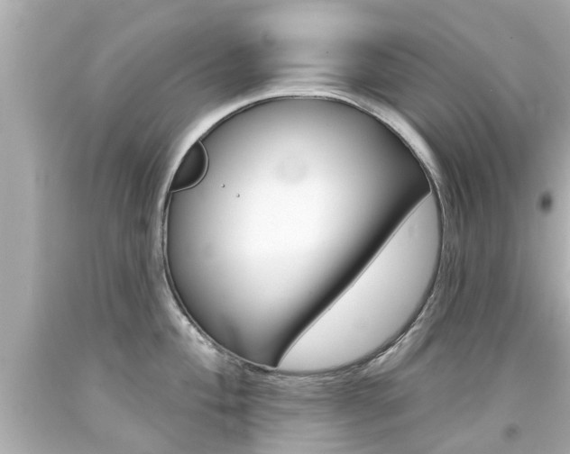 X0000094381004200711020820