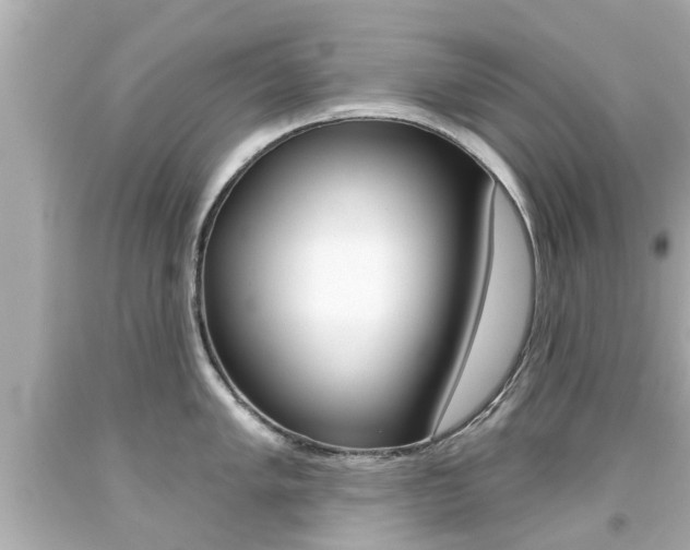 X0000094381005200711020820