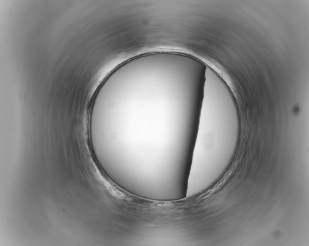 X0000094381006200711020820