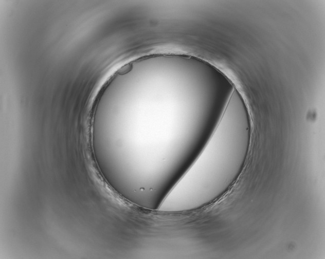 X0000094381008200711020820