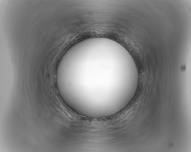 X0000094381009200711020819