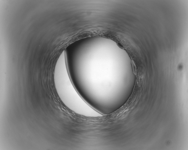X0000094381010200711020819