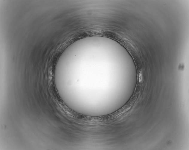X0000094381011200711020819