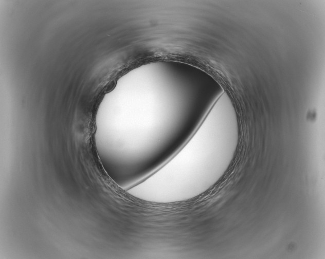 X0000094381012200711020819