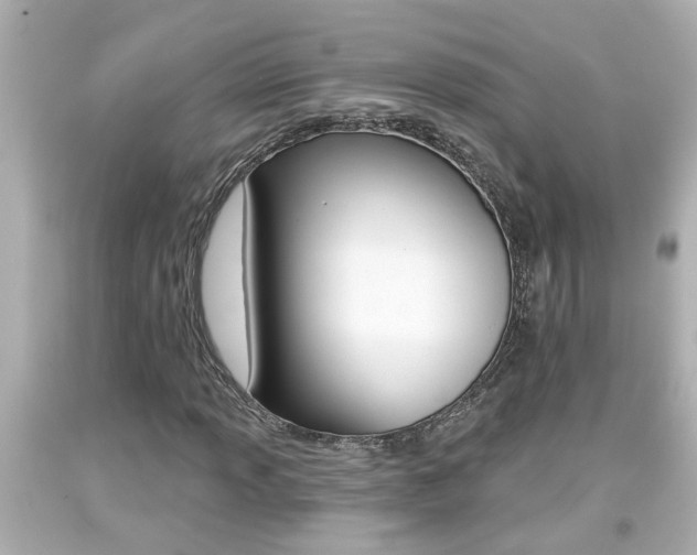 X0000094381013200711020819