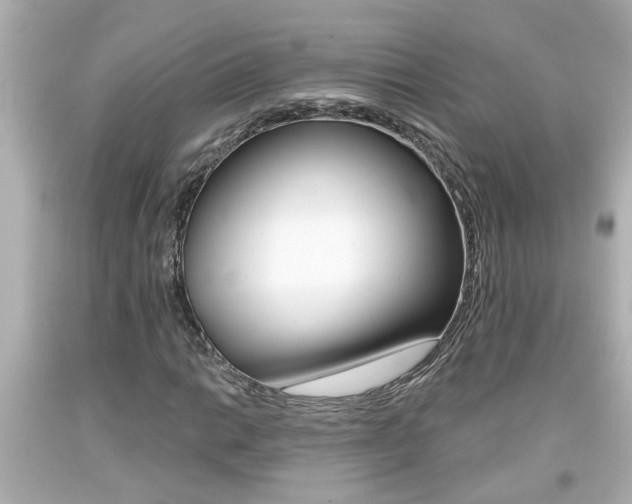 X0000094381014200711020819