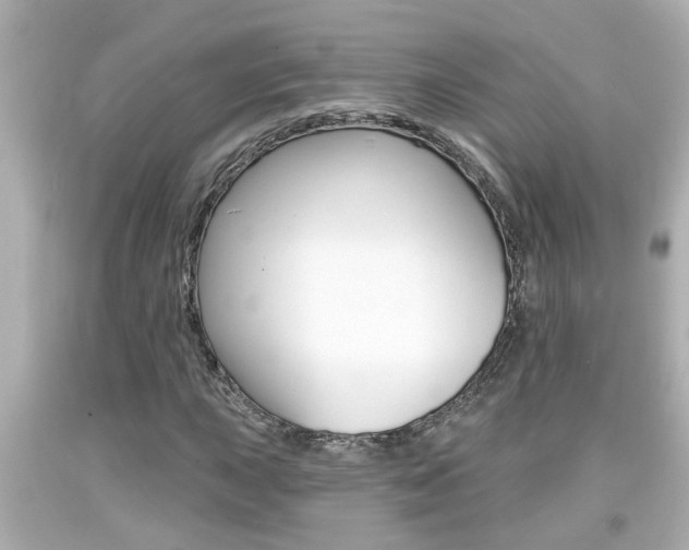 X0000094381015200711020819