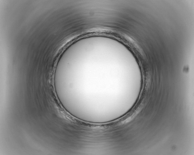 X0000094381017200711020819