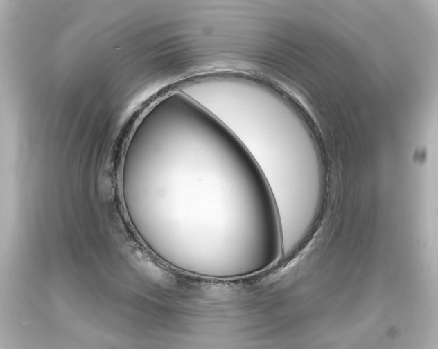 X0000094381018200711020820