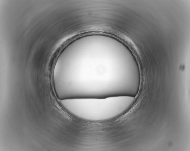 X0000094381019200711020820