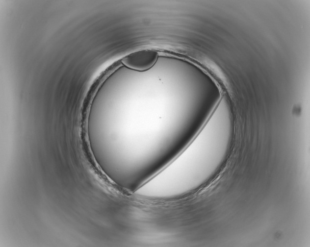 X0000094381020200711020820