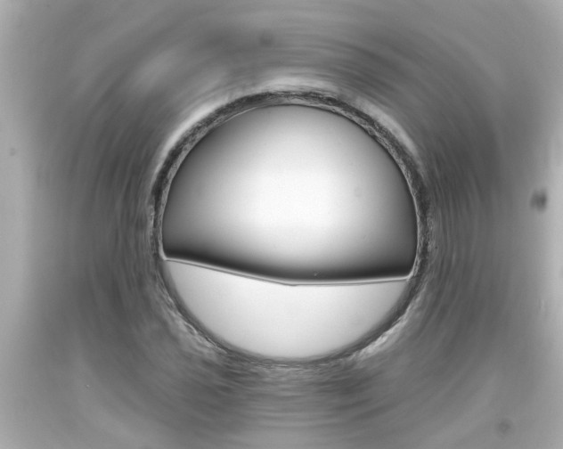 X0000094381021200711020820