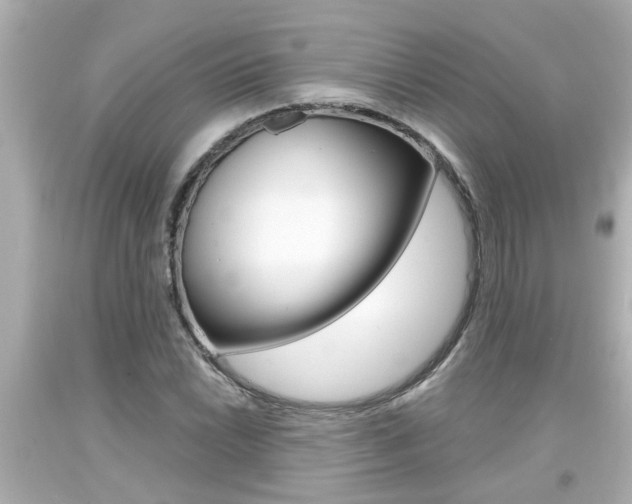 X0000094381022200711020820