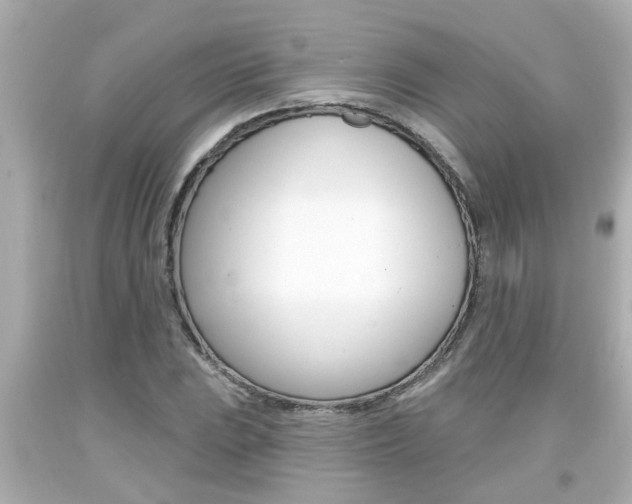 X0000094381023200711020820