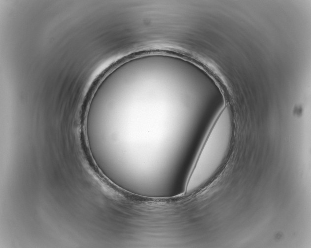 X0000094381024200711020820