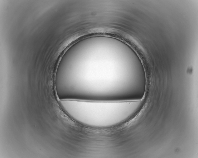 X0000094381025200711020820