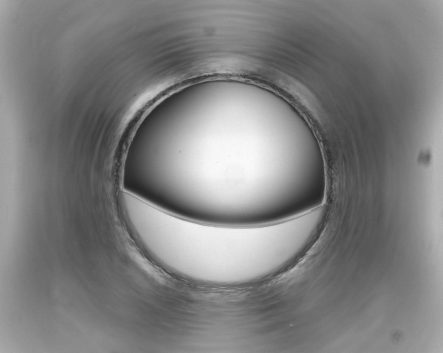 X0000094381026200711020820