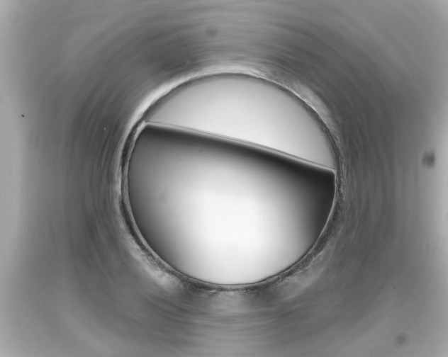 X0000094381028200711020820