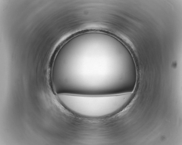X0000094381029200711020820