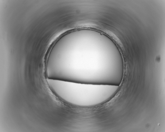 X0000094381031200711020820