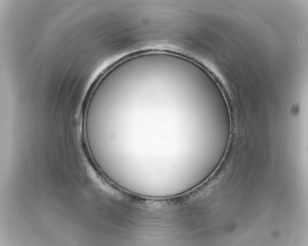 X0000094381032200711020820