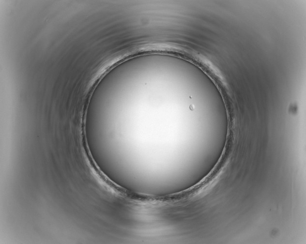 X0000094381033200711020820