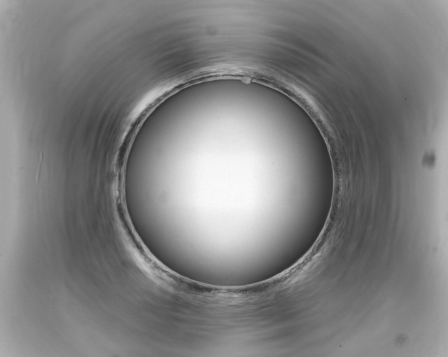 X0000094381034200711020820