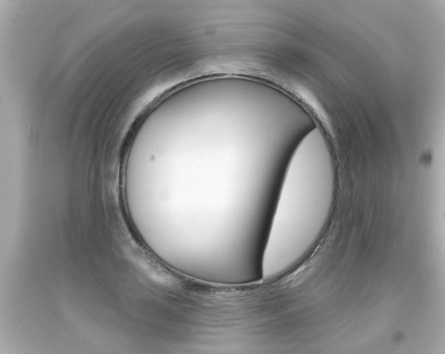 X0000094381035200711020820