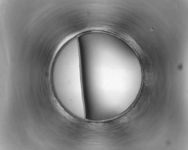 X0000094381036200711020820